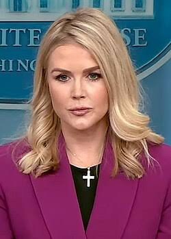 Caroline Leavitt Wikipedia