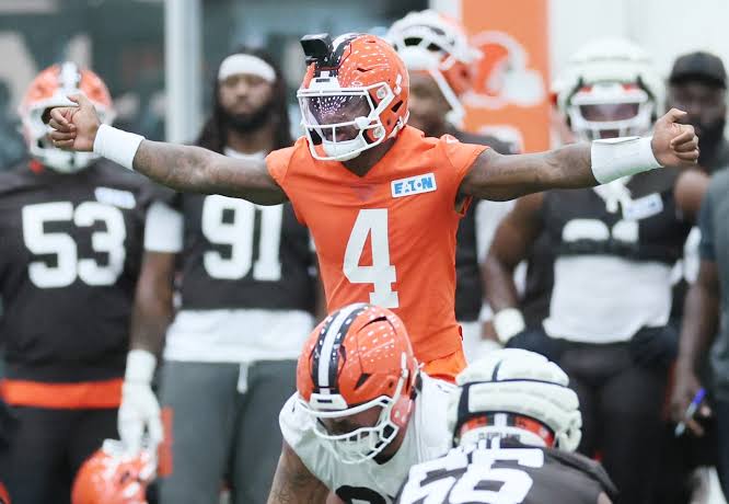 Deshaun Watson Wikipedia