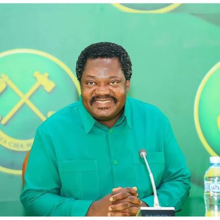 Emmanuel Nchimbi wikipedia